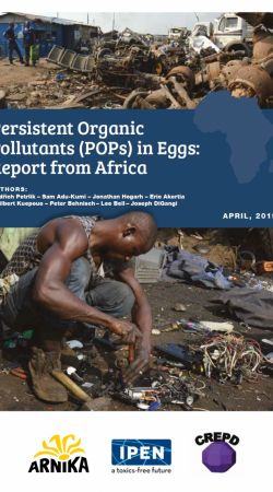 Persistent Organic Pollutants (POPs) in Eggs: Report from Africa