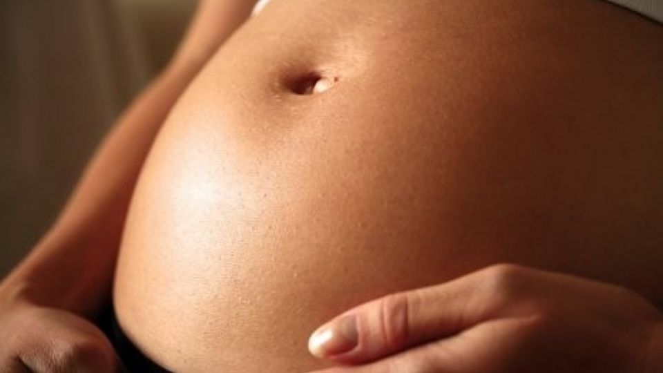 Vliv ftalátů na funkce štítné žlázy u těhotných