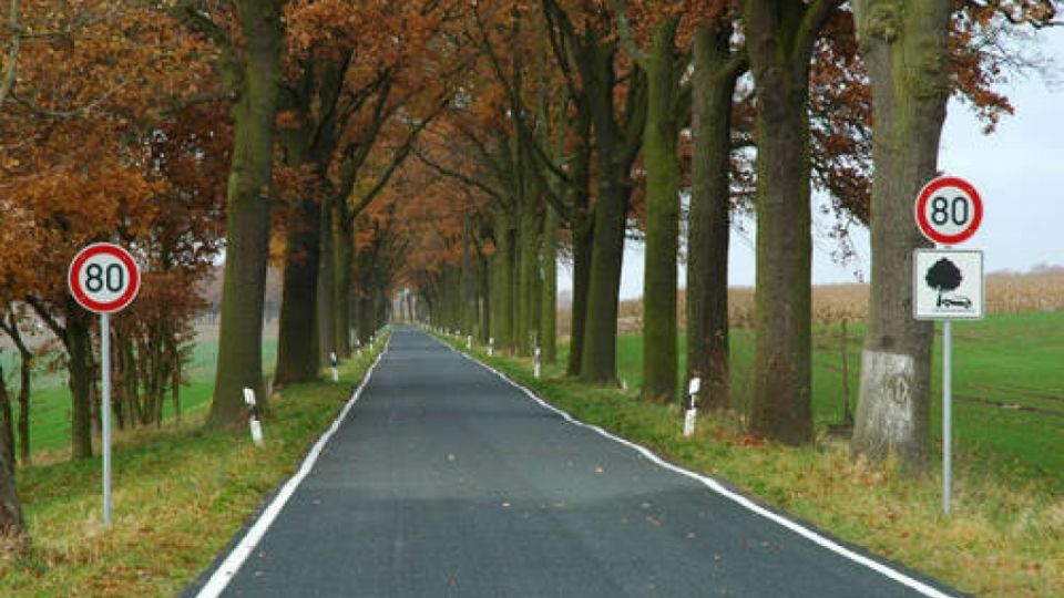 Je vykácení stromů v alejích podél silnic skutečně řešením zvyšujícím bezpečnost jízdy?