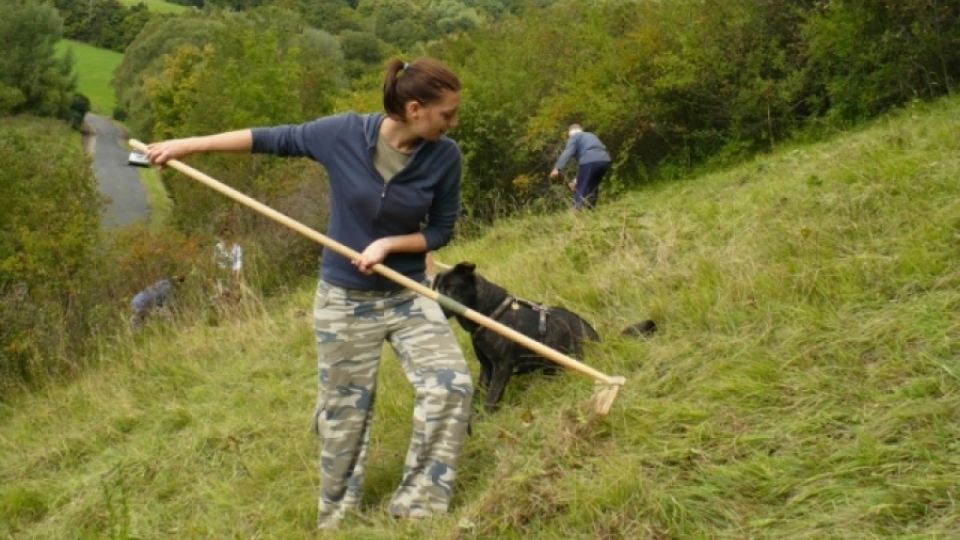 Pomáhat přírodě pod Lipskou horou budou o víkendu dobrovolníci Týmu Bořena