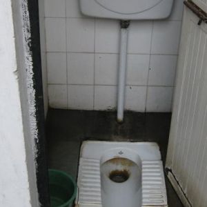 Toaletni_papir_01.jpg