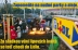 Zapalování svíček na místě, kde před supermarketem Lidl v Chomutově stála stoletá lípa.