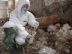 Na vytipovaných lokalitách byly odebírány vzorky vody, půdy, zemin, omítek a skladovaných pesticidů.