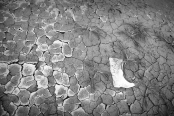 32. Stopa člověka