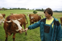 WWOOF - Ekofarma rodiny Netíků 