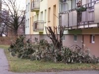 4. Radikální ořez