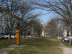 Park v Thákurově je součástí urbanistické koncepce Dejvic a zeleného pásu táhnoucího se až ke Stromovce. foto: Martin Skalský / Arnika