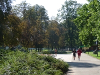 Alej v Komenského sadech, Ostrava