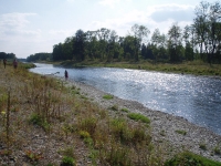 Revitalizace řeky Wertach 
