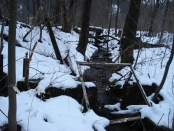 43. Bublající potůček