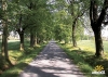 Telčská alej