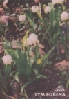 Bledule jarní (Leucojum vernum L.)