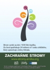 Strom vyrábí kyslík