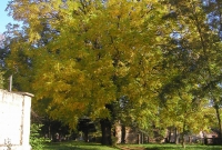 Padne park kvůli domovu důchodců a parkovišti?