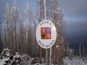 45. Šumavský kůrovec