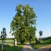 Vstup do Novodvorské aleje