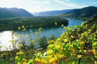 Wachau - rakouský mikroregion 