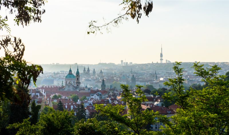 2018 05 20 arnika vyhledy hradcany zewlakk -6057 1