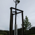 08