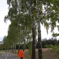 09