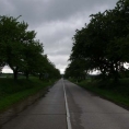 Třešňová alej Mostkovice - Ohrozim