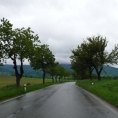 Alej mezi obcemi Supíkovice a Písečná