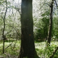 DSCF3316