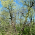 DSCF3334
