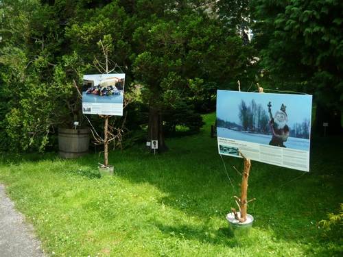 Instalace výstavy v pražské botanické zahradě na PřF UK Výstava v Botanické zahradě v Praze na Albertově