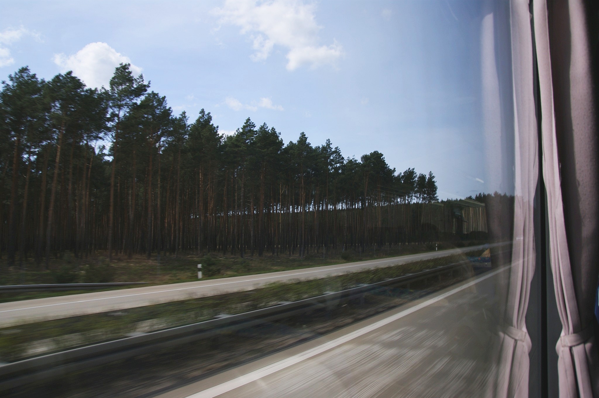 Lesy lemující dálnice