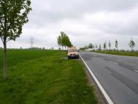 Nová výsadba podél silnice L14 u města Güstrow. (Foto: Martin Skalský)