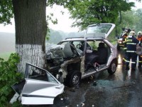 auto_nabourane_ve_stromu