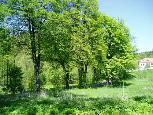 titulka_olomoucko