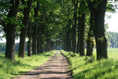 titulka_vysocina