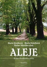 aleje web.jpg