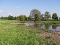 thumb_rybnik