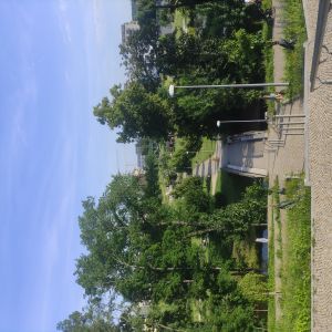 IMG_20250617_180933.jpg