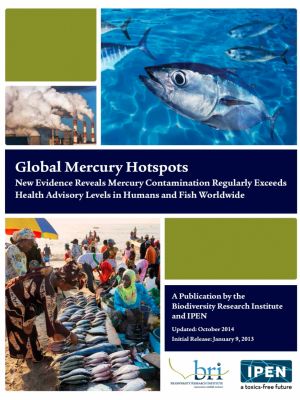Global Mercury Hotspots