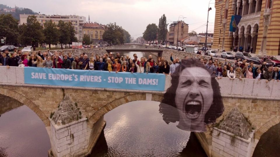 Free-flowing rivers without dams, demand scientists and activists on the premiere summit