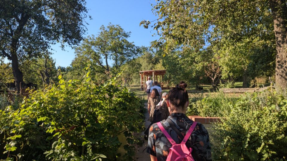 Procházka po komunitních zahradách