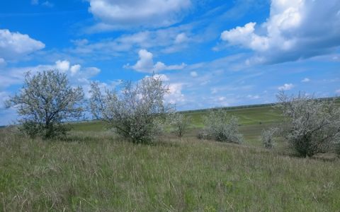 Six years of environmental work in Transnistria show progress in nature protection, landscape restoration and community engagement
