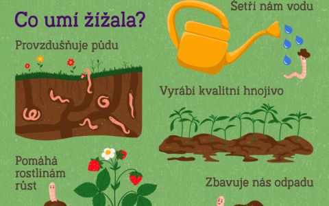 Žížala - továrna na superpůdu