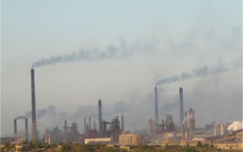 Бюллетень 11: Экология и общественное участие