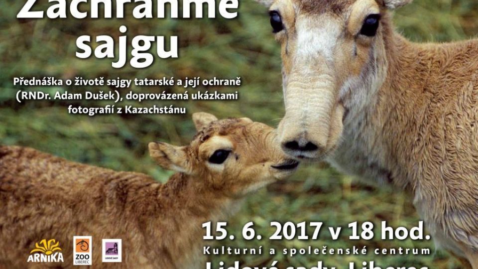 Přednáška o sajgách v zoo Liberec