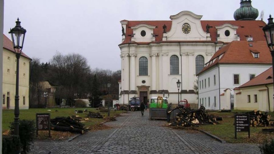 Soud potvrdil, že Břevnovský klášter  pokácel staletou alej neoprávněně