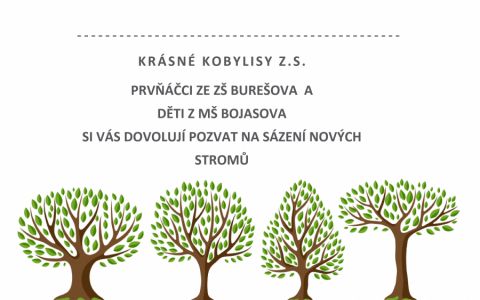 Sázíme stromy na Kobylisých, přijďte se podívat!