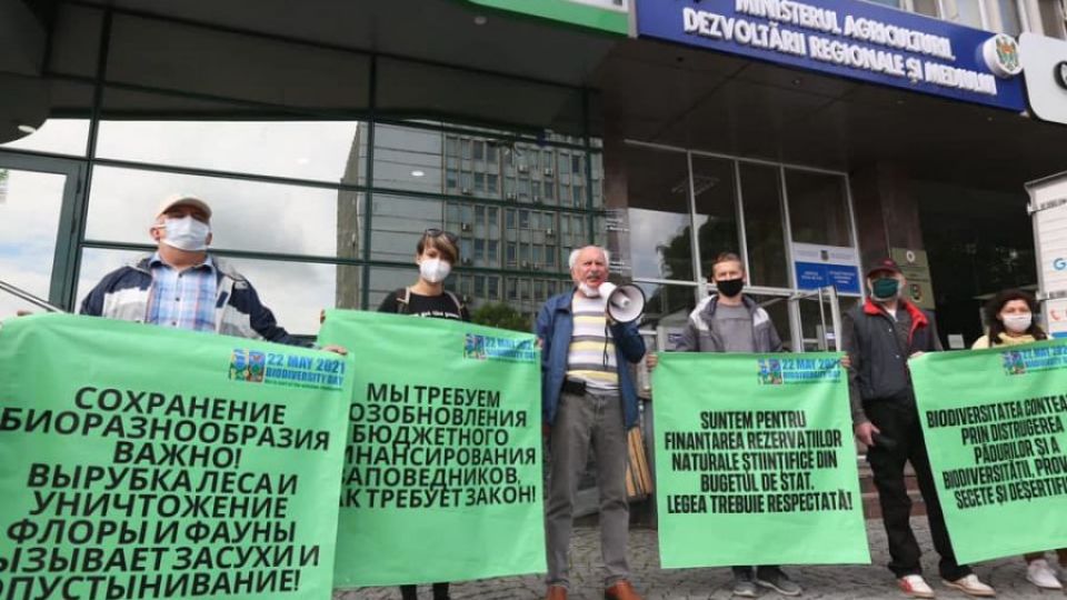 Экологи предупреждают, что без государственного финансирования заповедников Молдовы мы все можем потерять леса и природу