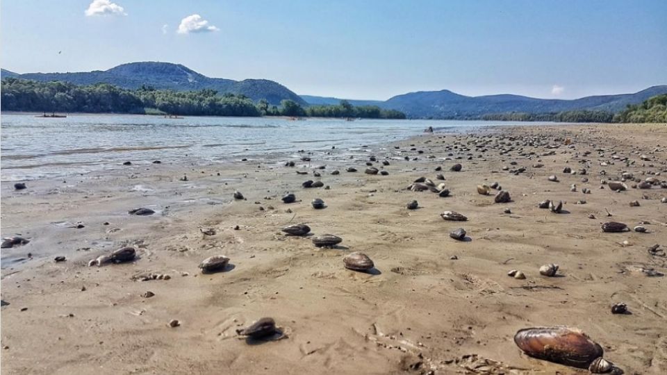 Danube gone dry as the water level hits record low