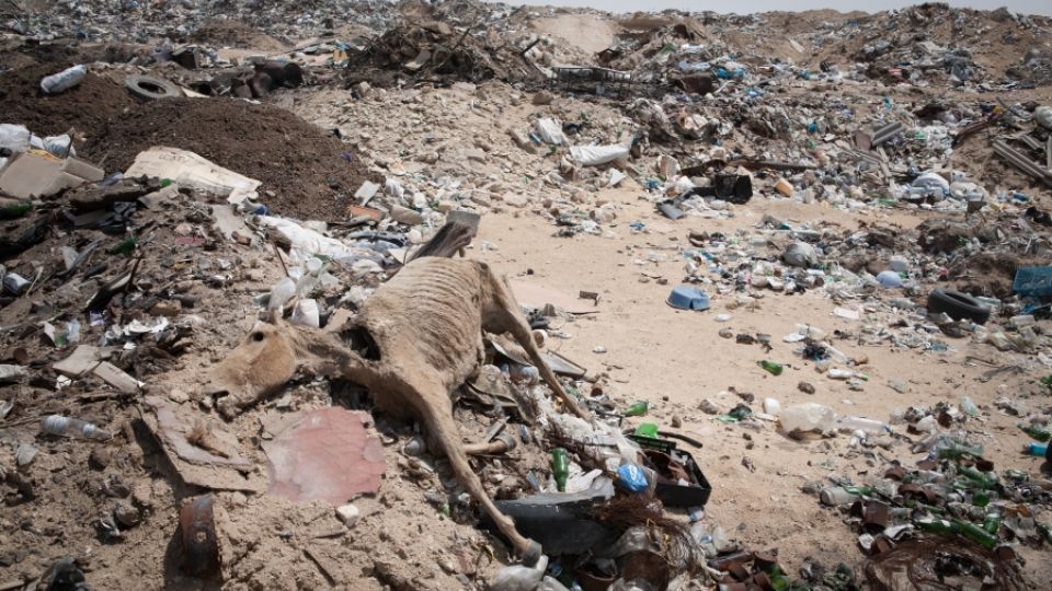 Illegal waste dump Ashukur