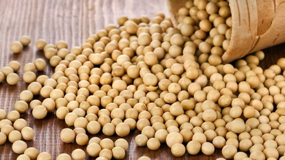 Genetically modified soy illegally in Republic of Srpska